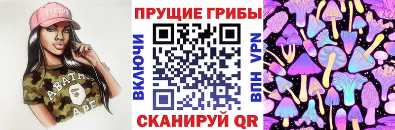 blacksprut онион  Нестеров  Галлюциногенные грибы мицелий  купить  цена 